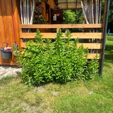 شقة Zacisze U Ani