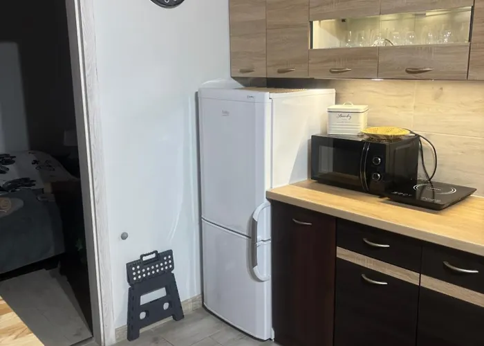 Апартаменты Zacisze U Ani *